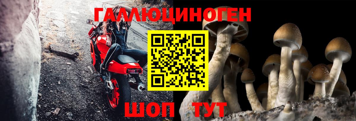 Печора  наркошоп  Псилоцибиновые грибы Psilocybe  Вход с VPN  Псилоцибиновые грибы Psilocybine cubensis 